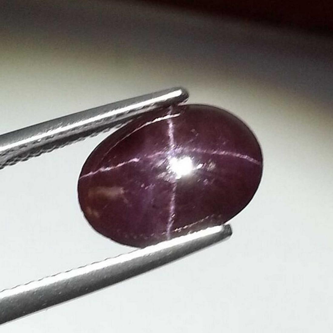 5.75 ct Top Quality Four Ray Star Garnet (1 of 6)