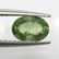 0.73 Ct Natural Ceylon Green Sapphire Oval Cut