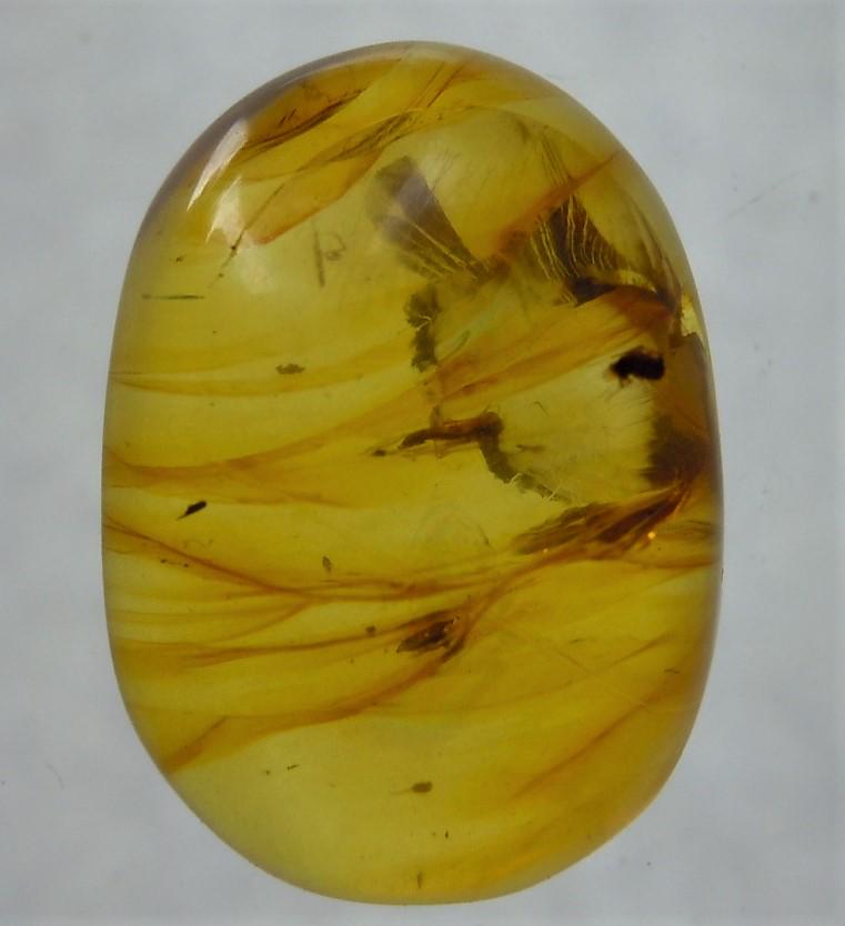 100 MILL YEARS OLD BURMITE AMBER WITH 3 INSECTS: Title: 100 MILL YEARS OLD BURMITE AMBER WITH 3 INSECTS Origin: Hukawang Valley, Kachin State, Myanmar Size: 1.4x1x0.5 cm / 0.44 gram Description: dark yellow burmite amber with 3 insect inclusion. wit
