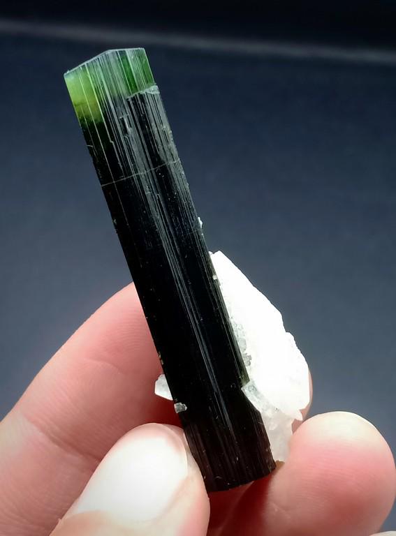 11 Gram Perfact Natural Green Cap Tourmaline Specimen: Title: 11 Gram Perfact Natural Green Cap Tourmaline Specimen Treatment: Natural Gemstones: Tourmaline Weight: 11 Gram Size/Dimensions: 50x16x12 mm Origin: Pakistan Reserve: $20.00 Shipping: Domest