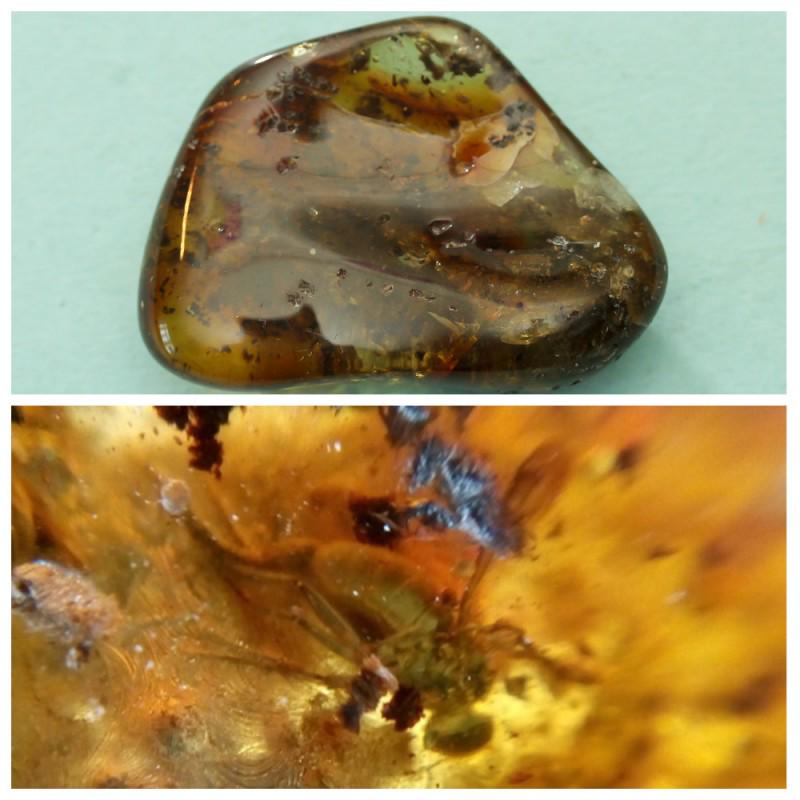 100% natural Baltic amber stone with insect, inclusion: Weight: 14.7 gram Inclusion: fly (Diptera) Size: 15x36x48 mm Stone: 100% natural Baltic amber Treatment: no Tested 100% natural Baltic amber: floats in salt water and smells as pine tree if you warm i