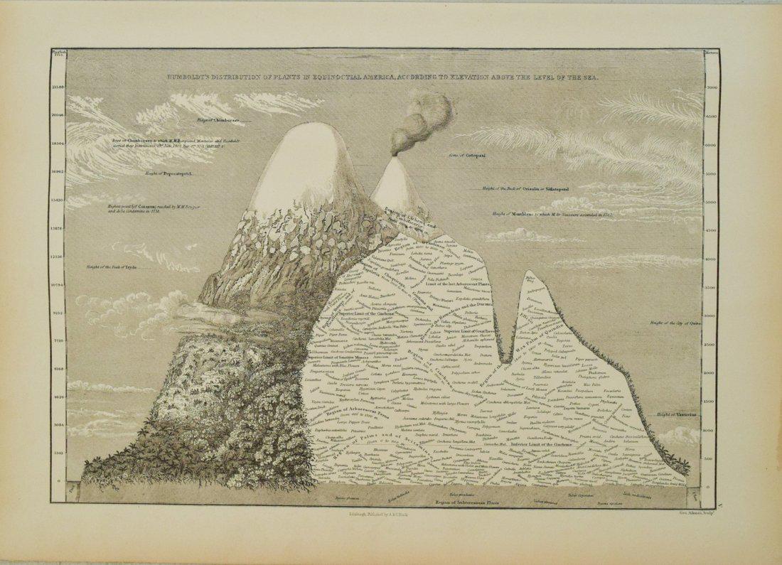1854 Black / Humboldt Chart of Changes in Vegetation / (1 of 1)