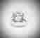 item-81985356=3