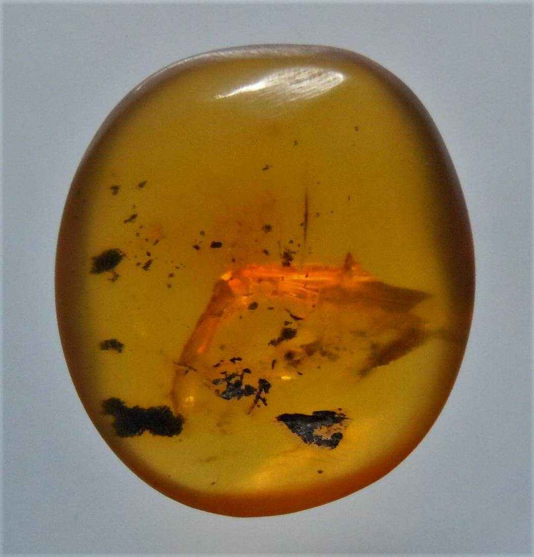 100 MILL YEARS OLD BURMITE AMBER WITH DEBRIS INCLUSIONS: Title: 100 MILL YEARS OLD BURMITE AMBER WITH DEBRIS INCLUSIONS Origin: Hukawang Valley, Kachin State, Myanmar Size: 1.75x0.5x0.7 cm / 1.13 gram Description:honey yellow burmite amber with debris inclu
