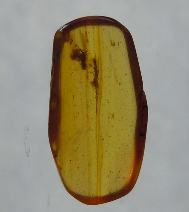 100 MILL YEARS OLD BURMITE AMBER WITH MULTIPLE INSECTS: Title: 100 MILL YEARS OLD BURMITE AMBER WITH MULTIPLE INSECTS Origin: Hukawang Valley, Kachin State, Myanmar Size: 1x0.5x0.2 cm / 0.1 gram Description:dark yellow burmite amber with multiple insect in