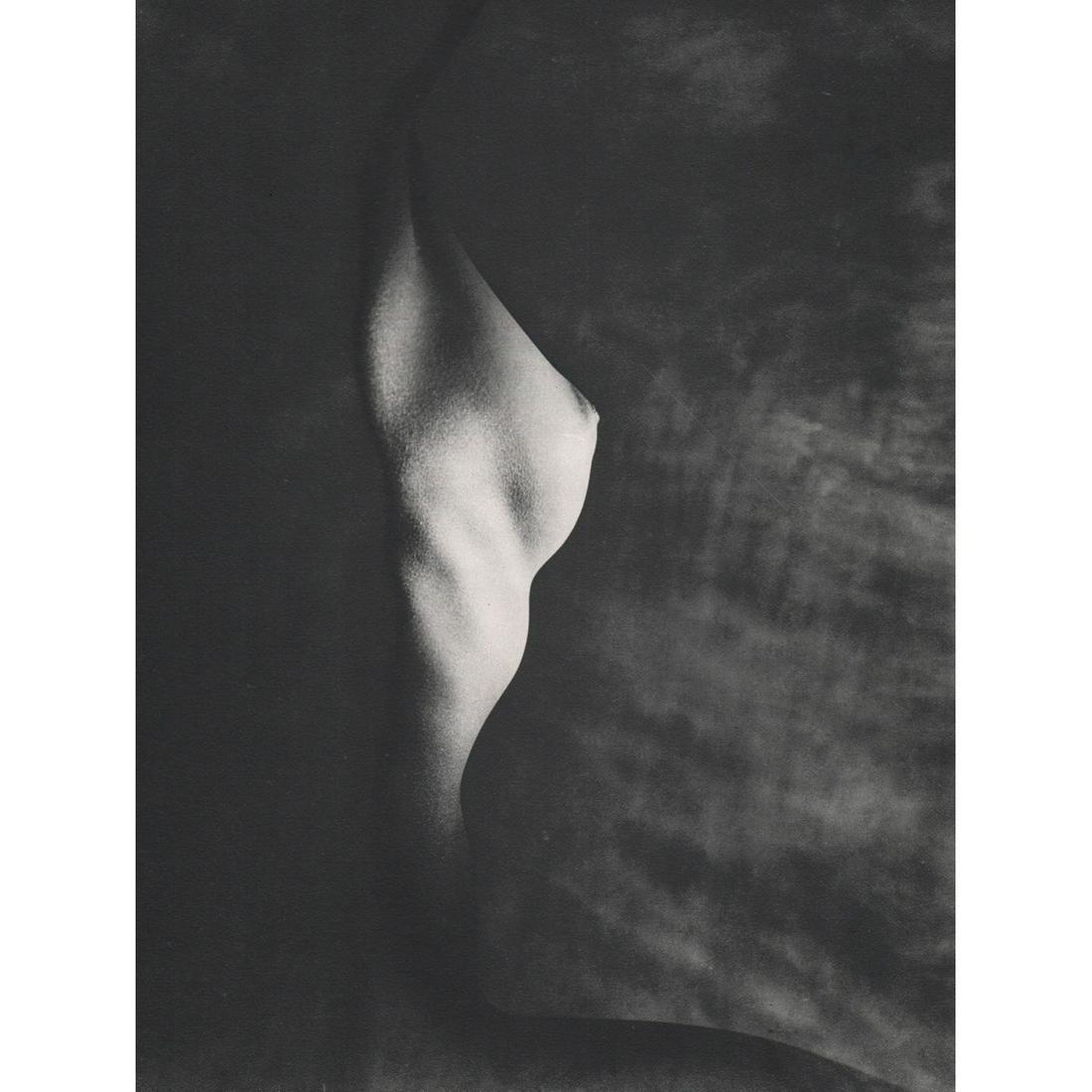 ERWIN BLUMENFELD - Profile of a Bust, New York, 1947: Artist: ERWIN BLUMENFELD Print Title: Profile of a Bust, New York, 1947 Limited Edition Portfolio 592/1000 Medium: Sheet-fed Gravure Printing Date: 1981 Printed in Italy Image Size: 11 x 8.5 inches Er