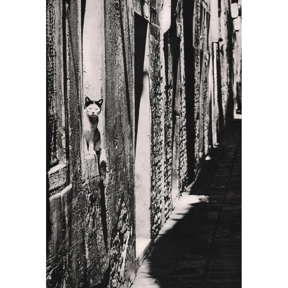 FULVIO ROITER - Venice: Artist: FULVIO ROITER Print Title: Venice Limited Edition 335/2000 Medium: Sheet-fed Gravure Printing Date: 1979 Printed in Italy Image Size: 12 x 8 inches Fulvio Roiter (1926-2016) was an Italian pho