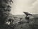 HIROSHI SUGIMOTO - Golden Eagle, 1994