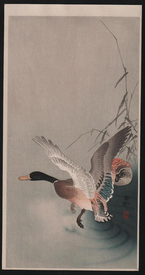 Ohara Koson: Mallard in flight: Title: Ohara Koson: Mallard in flight Notes: Original Japanese Woodblock Print. Artist: Artist: Ohara Koson. Subject: Mallard in flight. Date: c. early 1910's. Size: Measures 7.5" x 14.5". Condition: 