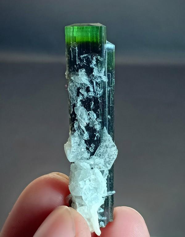 11 Gram Intersting Quality Natural Green Cap Tourmaline: Title: 11 Gram Intersting Quality Natural Green Cap Tourmaline With Albite Specimen Treatment: Natural Gemstones: Tourmaline Weight: 11 Gram Size/Dimensions: 48x15x10 mm Origin: Pakistan Reserve: $20.
