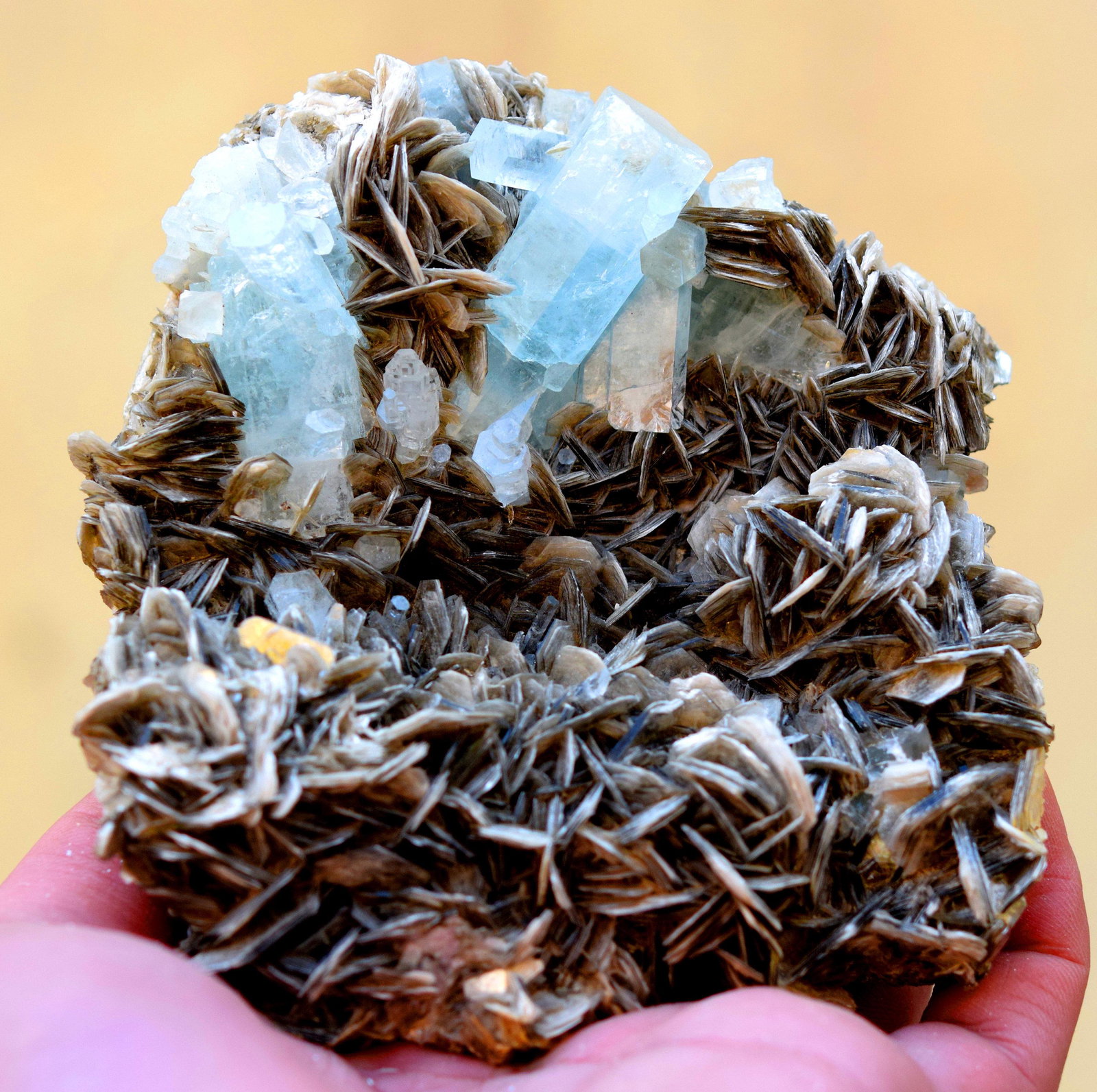 703 Gram Terminated And Undamaged Aquamarine Specimen: Item details Handmade Material Gem type: Aquamarine Terminated And Undamaged Aquamarine Specimen Bunch Wtih Micca From Skrdu Pakistan Dimensions (mm)