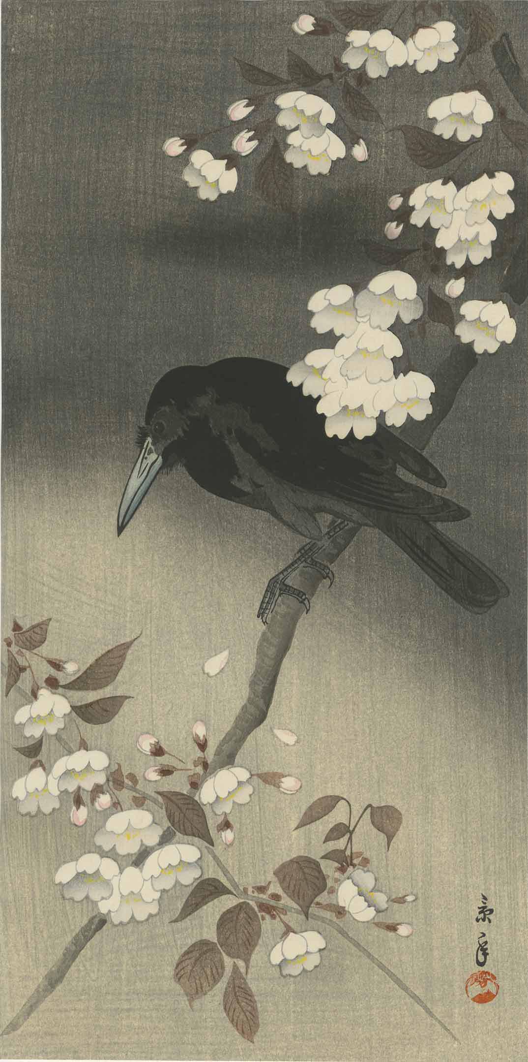 Keinen Imao: Crow on Flowering Branch Woodblock: Japanese Woodblock Print, c.1930, published by the Shima Art Company, signed and sealed Keinen SIZE IN INCHES: 7.75 x 15 PROVENANCE: from the estate of Robert O. Muller Keinen Imao (1845-1924), whose 
