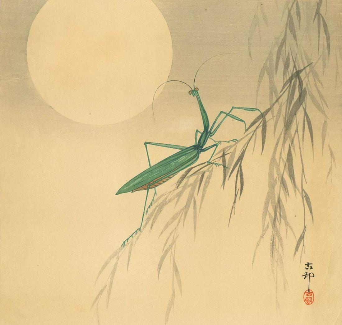 Ohara Koson: Praying Mantis Moon 1930's Woodblock: Japanese Woodblock Print, c1910, published by Daikokuya SIZE IN INCHES: 9 3/4 x 9 1/4 (plus margins) OHARA KOSON (1877-1945), who also went by the art names of Shoson and Hoson, began his career as th