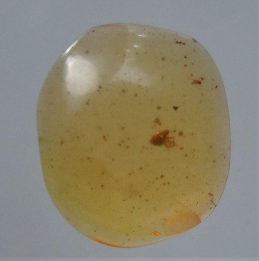 100 MILL YEARS OLD BURMITE AMBER WITH INSECT INCLUSION: Title: 100 MILL YEARS OLD BURMITE AMBER WITH INSECT INCLUSION Origin: Hukawang Valley, Kachin State, Myanmar Size: 1x0.8x0.2 cm / 0.12 gram Additional Information: clear, bright yellow burmite amber w