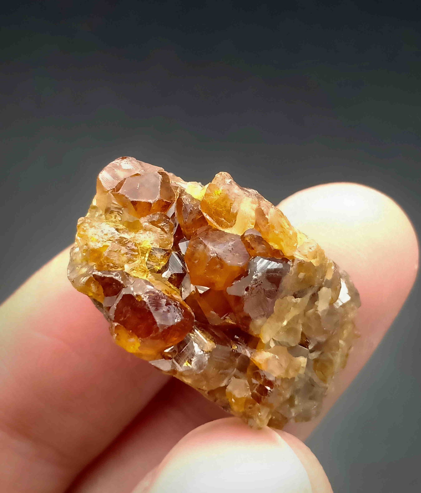 12 Gram Beautiful Natural Garnet Specimen: No Reserve! Title: 12 Gram Beautiful Natural Garnet Specimen Treatment: Natural Gemstones: Garnet Weight: 12 Gram Size/Dimensions: 28x15x15 mm Origin: Pakistan Shipping: Domestic: Flat-rate of $15.00 