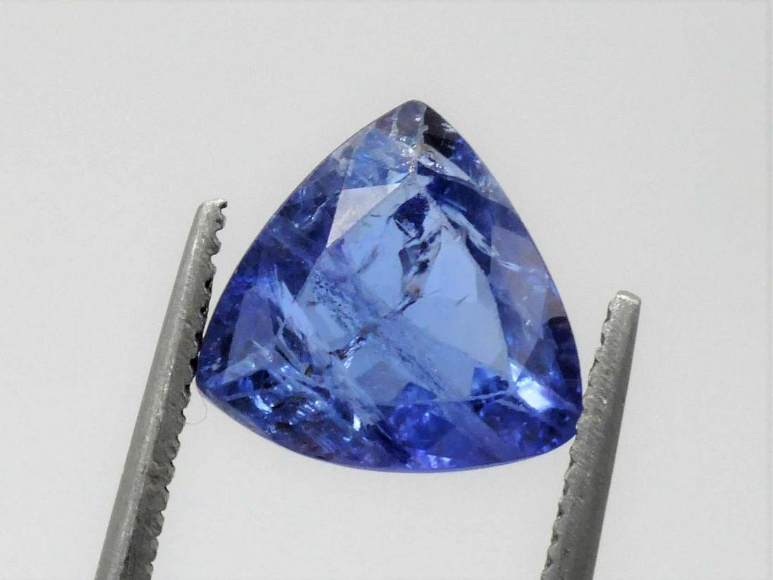 Tanzanite 2.88 ct (1 of 2)