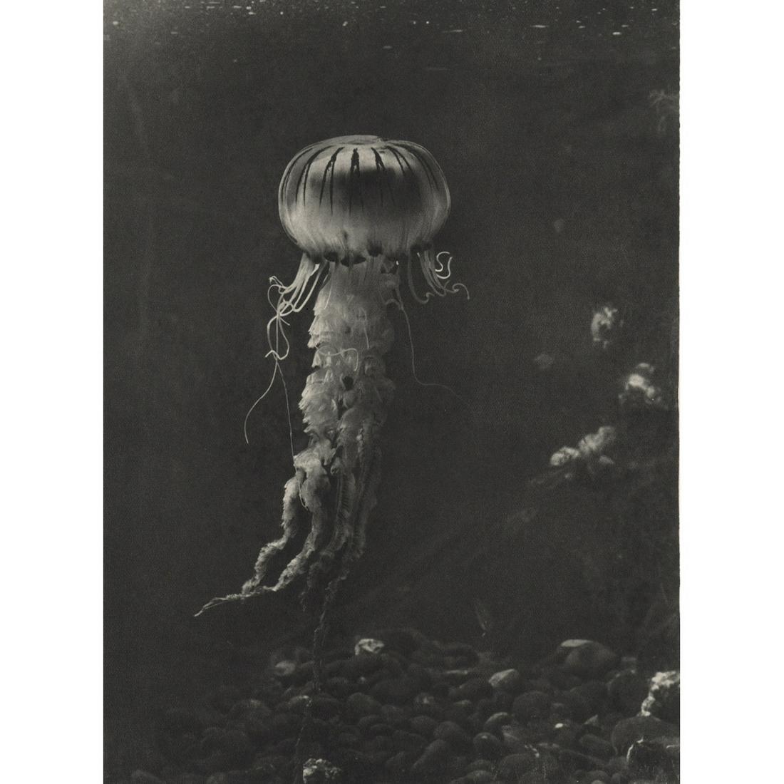 FRANZ SCHENSKY - Kompassqualle: No Reserve! Artist: FRANZ SCHENSKY Print Title: Kompassqualle Medium: Sheet-fed Gravure Printing Date: 1920's Printed in Germany Image Size approx: 9.5 X 7 inches Franz Schensky (1871-1957) was a Germ