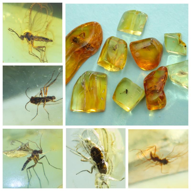 3.62 gr collection of 100% natural Baltic amber 9: Collection of 9 natural Baltic amber stones. Each stone with inclusion. Weight: 3.62 gram Size: 7-19 mm Stone: 100% natural Baltic amber Age: 45-50 million years old Treatment: no Tested 100% natural 
