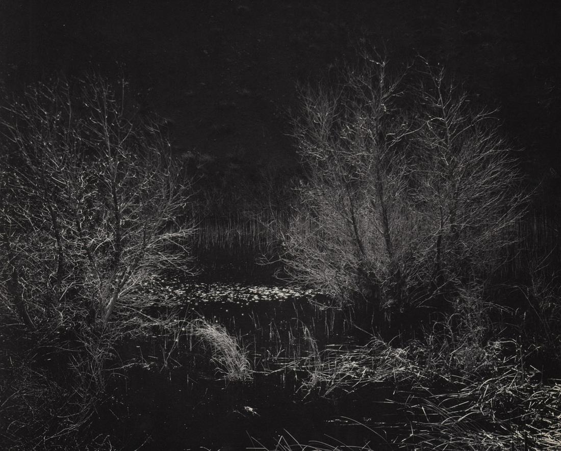 WYNN BULLOCK - Marsh at Night (1 of 1)