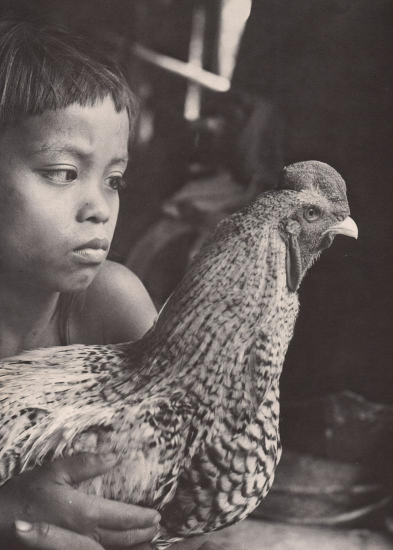 HEDDA MORRISON -  Iban Child with his pet cockerel, (1 of 1)