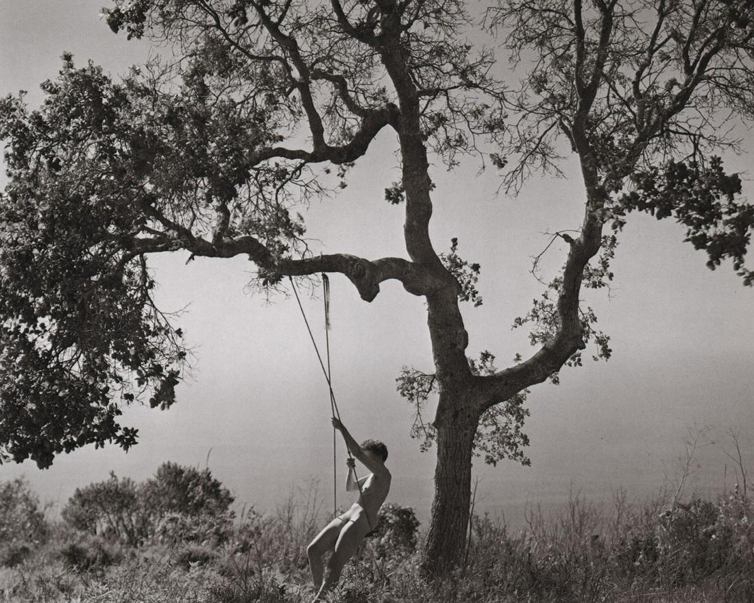 EDWARD WESTON- Winter Idyll, 1945 (1 of 1)