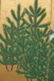 Six panel screen - 15