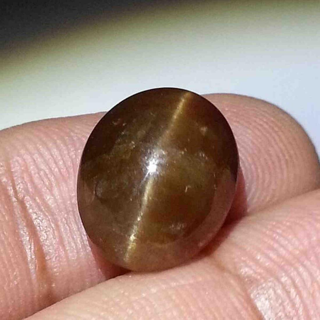 10.31 ct Natural Apatite cat's Eye: No Reserve! Title: 10.31 ct Natural Apatite cat's Eye Color/Clarity: Semi Transparent Gemstones: Loosegemstone Carat Weights: 10.31 Size/Dimensions: 13.70 x 11.10 x 7.70 Additional Information: Oval -