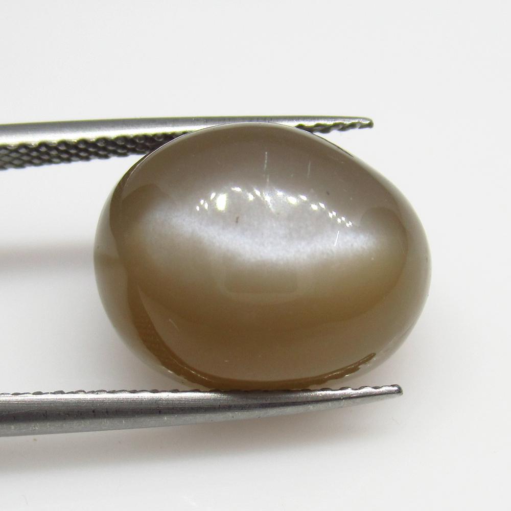 12.87 Ct Natural Moonstone Oval Cab: No Reserve! Title: 12.87 Ct Natural Moonstone Oval Cab Stone Clarity: Transparent Gemstones: Natural Moonstone Carat Weights: 12.87 Size/Dimensions: 14.90 x 11.80 x 9.40 mm Additional Information: Nic