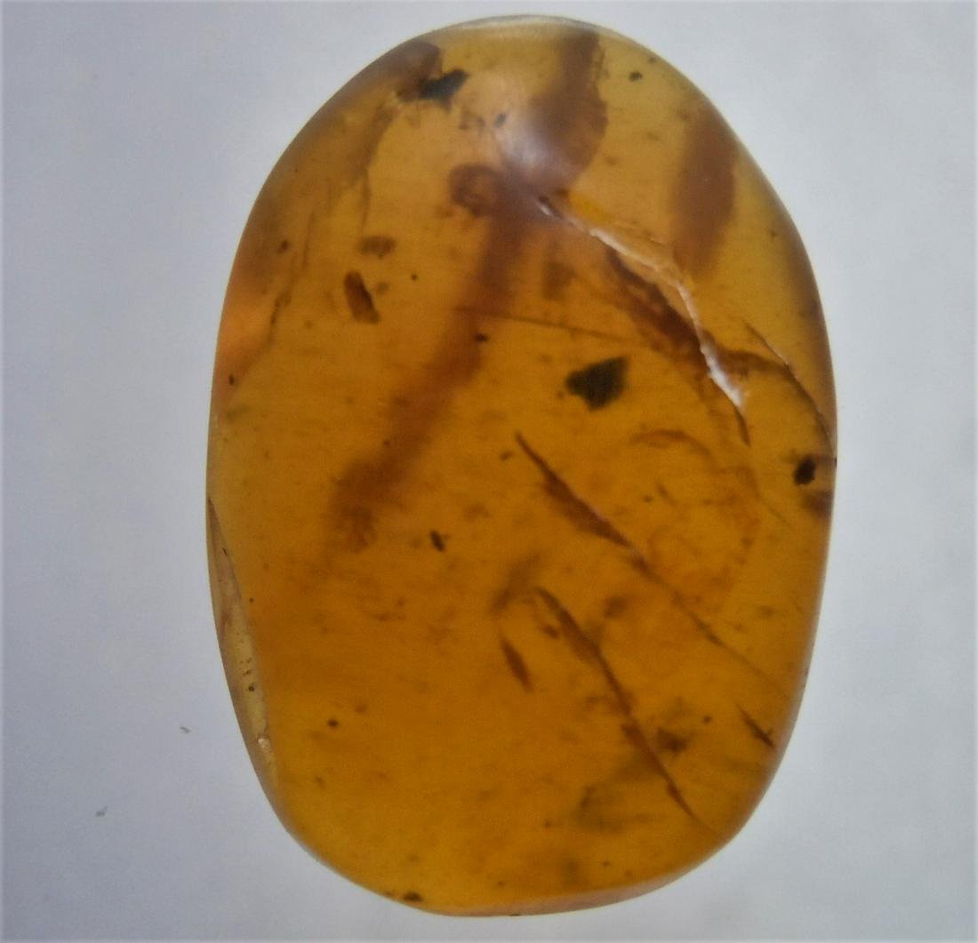 100 MILL YEARS OLD BURMITE AMBER WITH INSECT: Title: 100 MILL YEARS OLD BURMITE AMBER WITH INSECT Origin: Hukawang Valley, Kachin State, Myanmar Size: 2.2x1.4x0.65 cm / 1.35 gram Additional Information: dark honey yellow burmite amber with insect