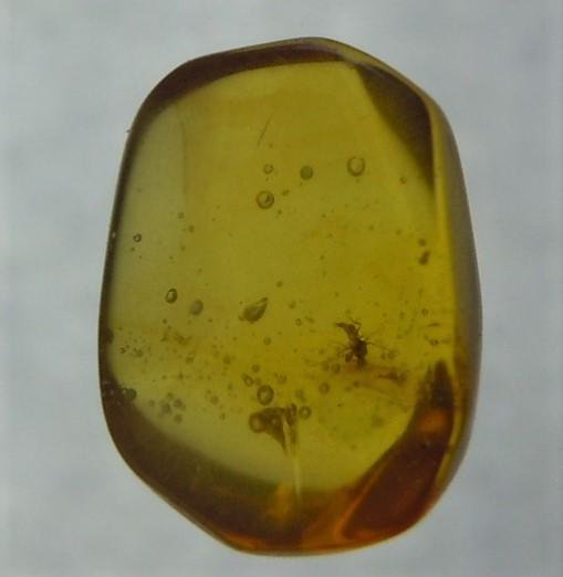 100 MILL YEARS OLD BURMITE AMBER WITH INSECT INCLUSION: Title: 100 MILL YEARS OLD BURMITE AMBER WITH INSECT INCLUSION Origin: Hukawang Valley, Kachin State, Myanmar Size: 0.9x0.7x0.4 cm / 0.14 gram Additional Information: dark yellow burmite amber with ins