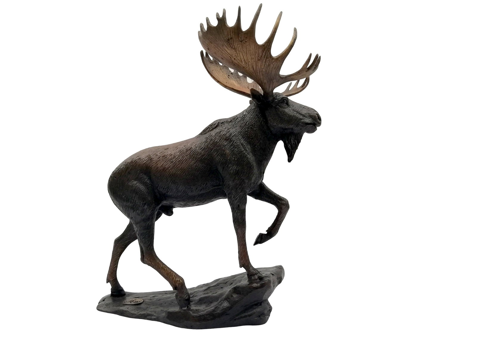 Bronze sculpture of a moose: Title: Bronze sculpture of a moose Maker: Unknown Origin: Belgium Date/Period: 1940-1980 Materials:Bronze Dimensions:Height: 28 cm / 11.2 inchWidth: 22 cm / 8.8 inch Description:Beautiful sculpture of