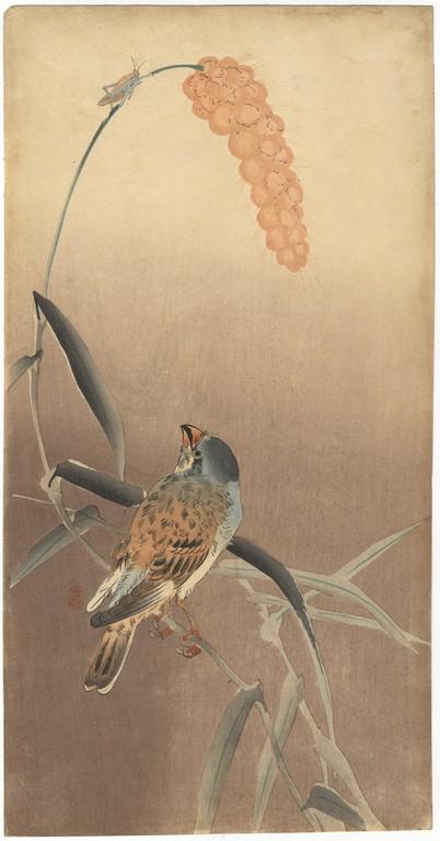 Koson: Finch on Corn Stalk: Title: Koson: Finch on Corn Stalk Artist: Ohara Koson (1877-1945) Series: Publisher: Daikokuya Date:Early 20th c. Medium:Japanese Woodblock Print Size/Format:36.6 x 19.1 cm Reserve: $485.00 Shipping: