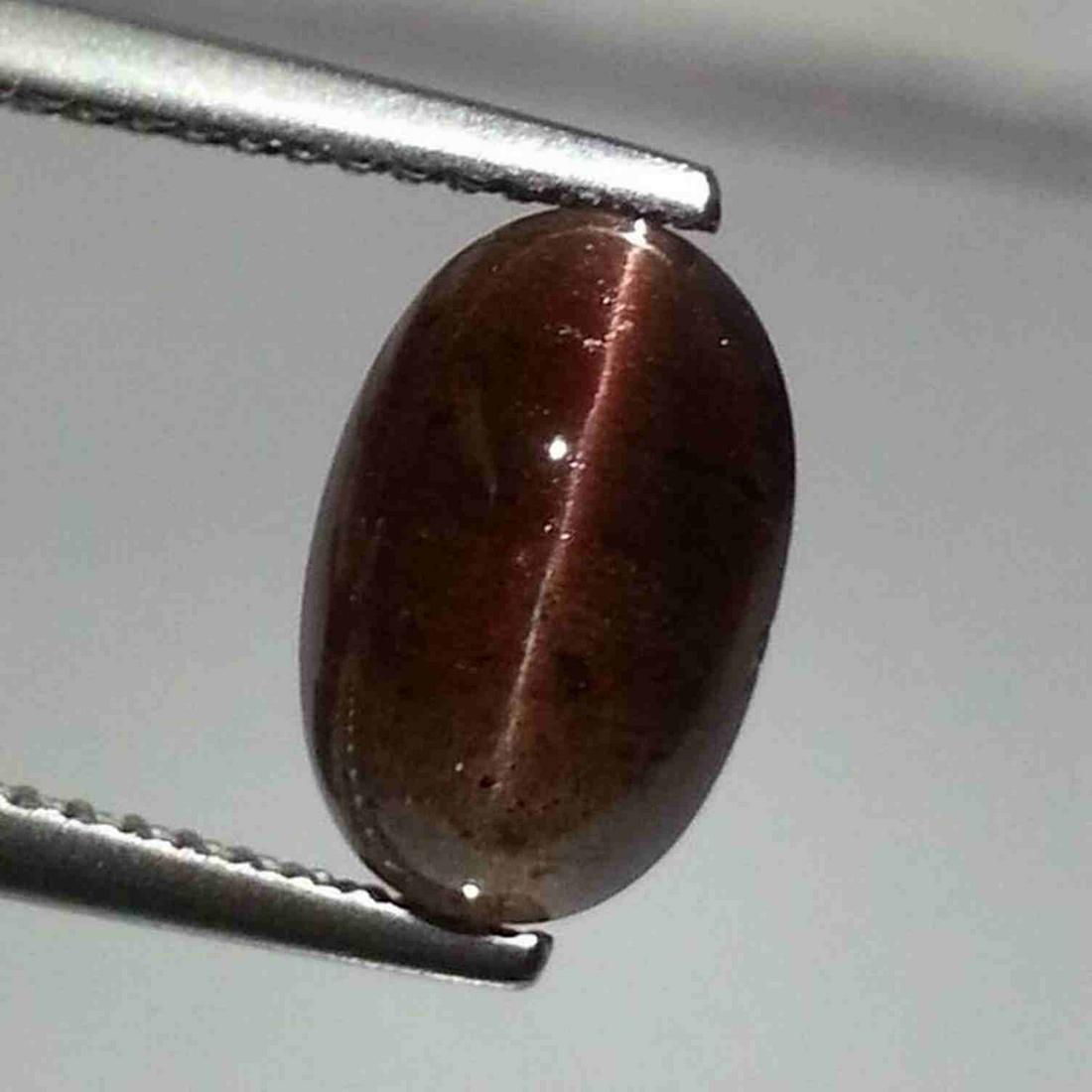 3.02 ct Natural Sillimanite Cat's Eye: No Reserve! Title: 3.02 ct Natural Sillimanite Cat's Eye Color/Clarity: Semi Transparent Gemstones: Loosegemstone Carat Weights: 3.02 Size/Dimensions: 10.40 x 6.90 x 5.80 Additional Information: Oval 
