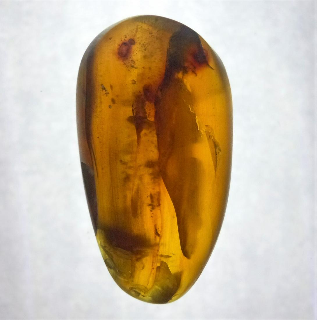 100 MILL YEARS OLD BURMITE AMBER: Title: 100 MILL YEARS OLD BURMITE AMBER Origin: Hukawang Valley, Kachin State, Myanmar Size: 2.2x1.4x0.65 cm / 3.18 gram Description: dark yellow burmite amber. natural crack and chips. Reserve: $6.00