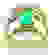 item-83310312=4