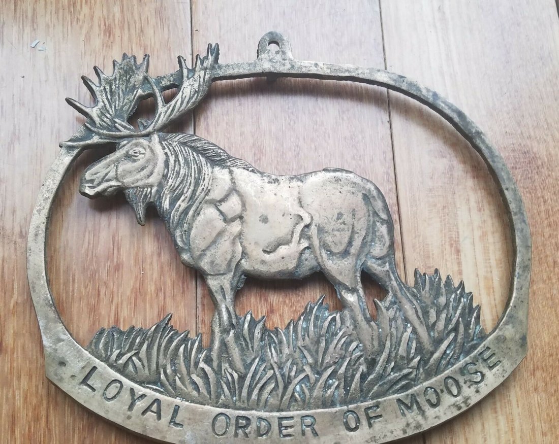 Order Of Loyal Moose Brass Plaque: Title: Order of Loyal Moose Brass Plaque Provenance: Order of Loyal Moose Brass Plaque. Great looking pieces in Excellent condition . Dates to 1950\'s. Measures 7\". Shipping: Domestic: Flat-rate of $