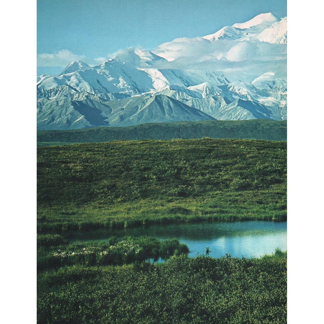 WILLIS PETERSON - Denali: Artist: WILLIS PETERSON Print Title: Denali Medium: Color Sheet-fed Gravure Printing Date: 1960's Printed in Switzerland Image size approx. 12 x 9.5 inches Willis Peterson is an American wildlife and 