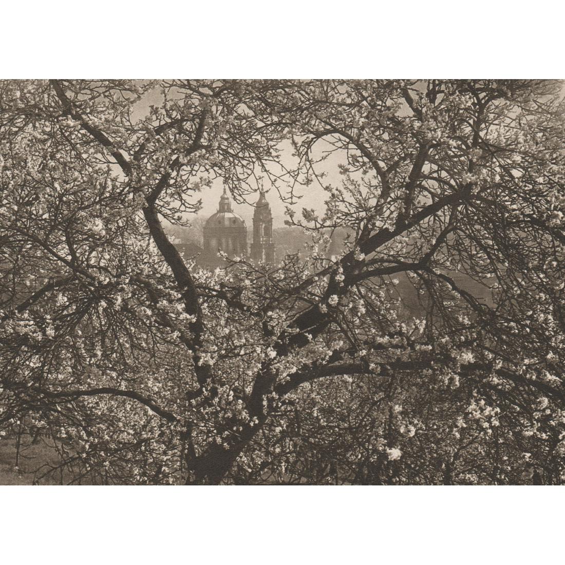 JOSEF SUDEK - Spring in the Seminar Garden (1 of 1)