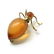Marvellous Vintage Amber Brooch