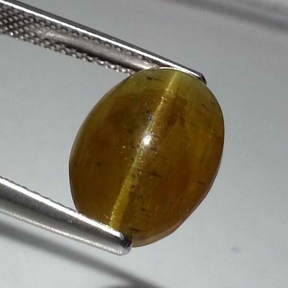 7.73 ct Natural Apatite cat's Eye: No Reserve! Title: 7.73 ct Natural Apatite cat's Eye Color/Clarity: Semi Transparent Gemstones: Loosegemstone Carat Weights: 7.73 Size/Dimensions: 13.30 x 9.90 x 6.90 Additional Information: Oval - Af
