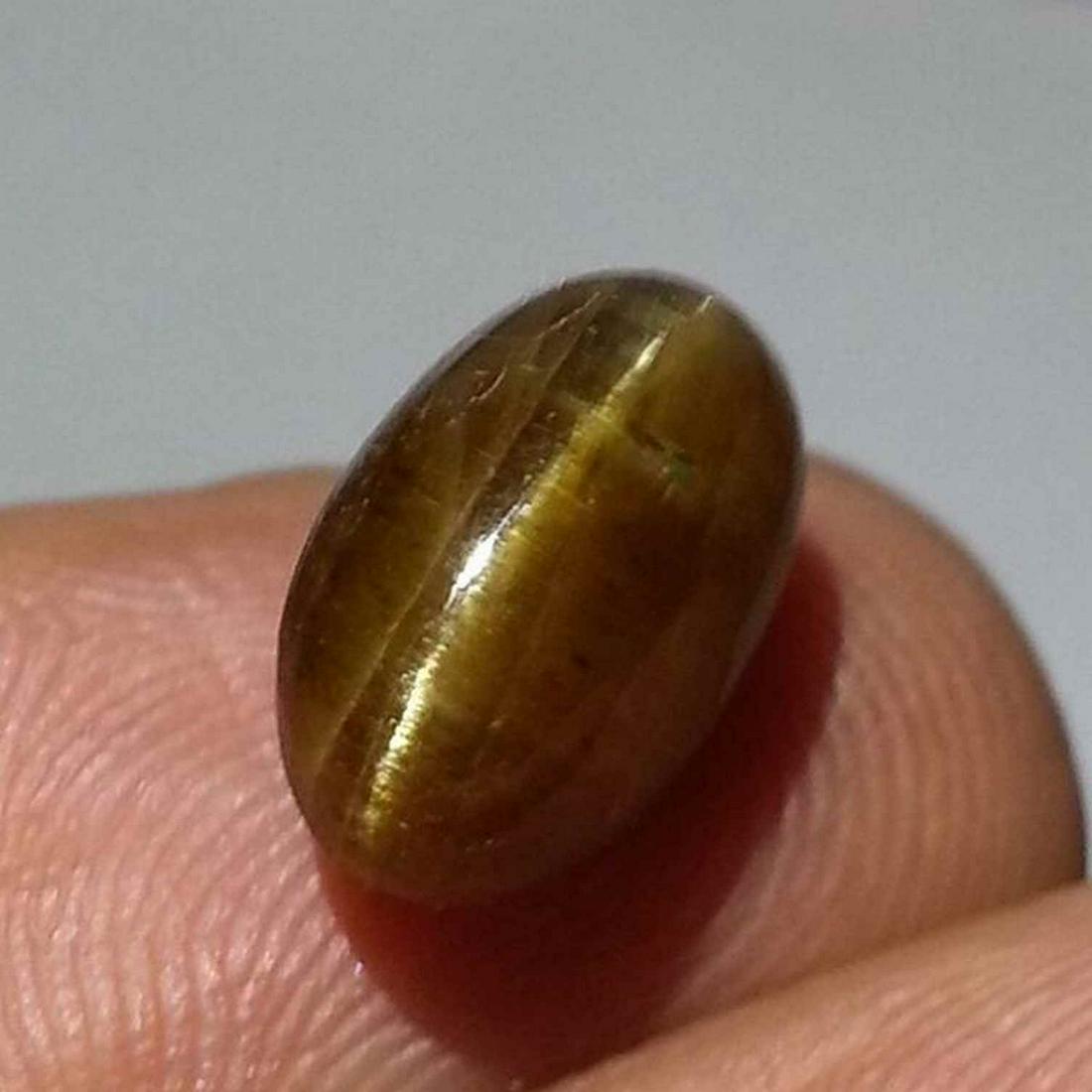 5.82 ct Natural Apatite cat's Eye: No Reserve! Title: 5.82 ct Natural Apatite cat's Eye Color/Clarity: Semi Transparent Gemstones: Loosegemstone Carat Weights: 5.82 Size/Dimensions: 11.50 x 7.20 x 7.80 Additional Information: Oval - Af
