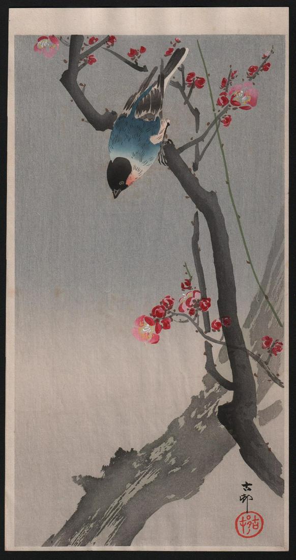 Title: Ohara Koson: Blue-bird on plum branch.: Title: Ohara Koson: Blue-bird on plum branch. Subject: Artist: Ohara Koson. Subject: Blue-bird on plum branch. Date: c.1910's. Size: Tanzaku design measures 7.5" x 14.5". Condition: Excellent color & 