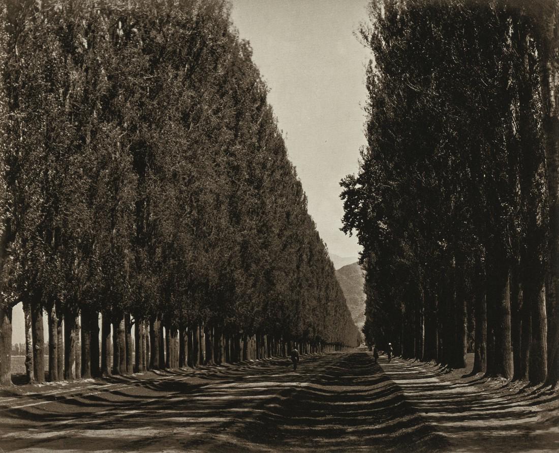 SAMUEL BOURNE - Poplar Avenue, Kashmir, 1864: Artist: BOURNE, SAMUEL Title: Poplar Avenue, from the Middle, Kashmir, 1864 Medium: Photo Litho, 1985, USA Dimensions: 7.5x6.05" Artist Bio: Samuel Bourne (1834 - 1912) was a British photographer know