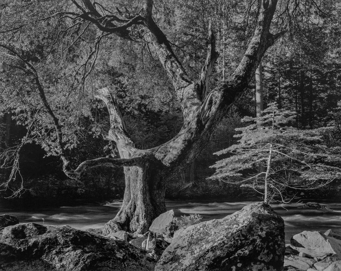 ANSEL ADAMS - Early Morning, Merced River, Yosemite (1 of 1)