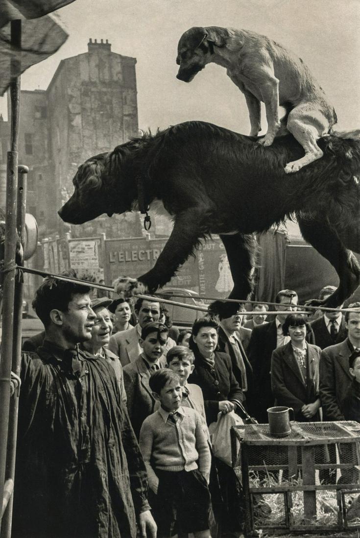 MARC RIBOUD - Rue Mouffetard, 1959 (1 of 1)