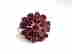 item-83743074=2
