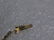 Vintage 14kt Solid Gold Rope Chain Necklace, 24", 6.67 - 7