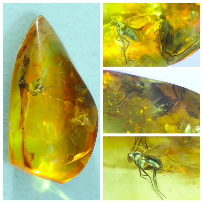 100% natural Baltic amber stone fossil with insects, (1 of 12)