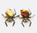 Two Beautiful Unique Vintage Amber Brooches shaped like