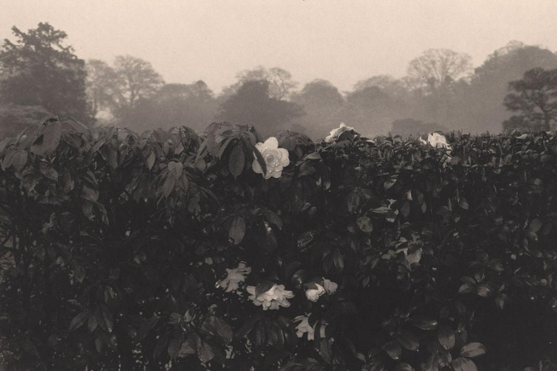 LEE FRIEDLANDER - Kyoto, Japan, 1977: Artist: LEE FRIEDLANDER Print Title: Kyoto, Japan, 1977 Medium: Photoengraving Printed 1980’s in the US Image size (inches) approx. 7 x 11” Lee Friedlander is an American photographer and artist.